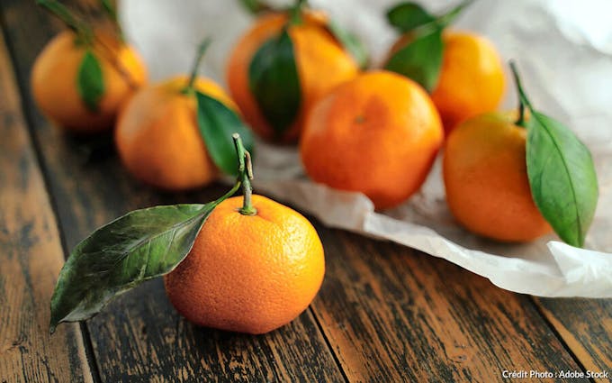 Tangerine, un type de mandarine 