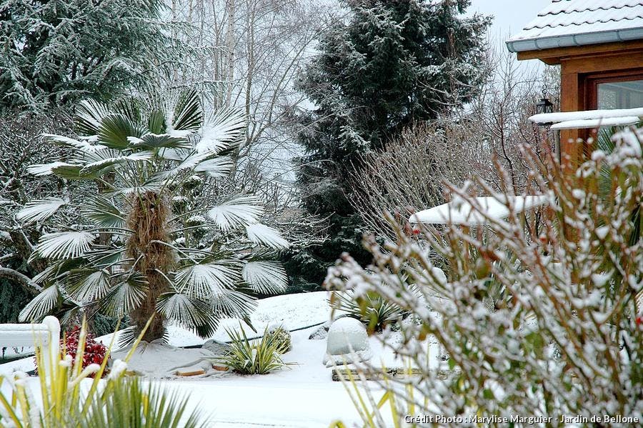 jardin de bellone en hiver