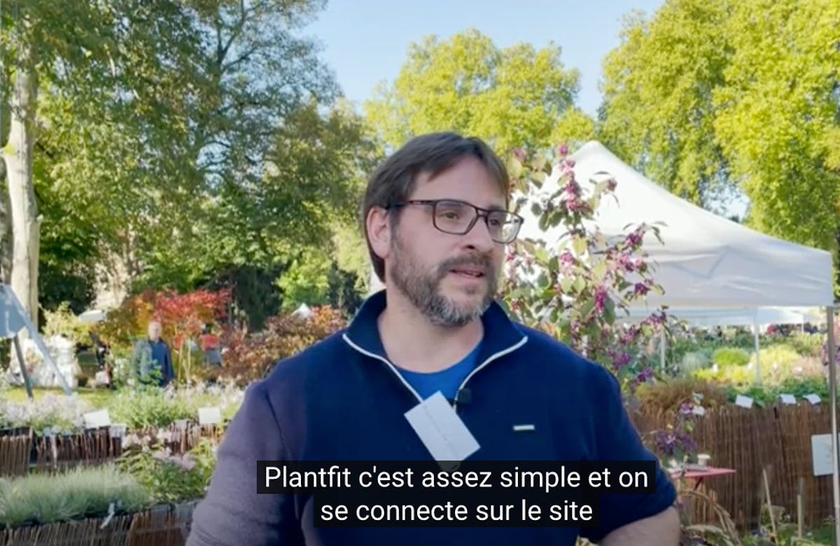 Les plantes grasses couvre-sol : notre sélection - Promesse de Fleurs