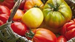 Toutes les variétés de tomates originales et gourmandes