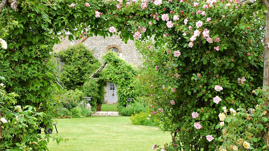 Un jardin de roses dans le Val de Loire
