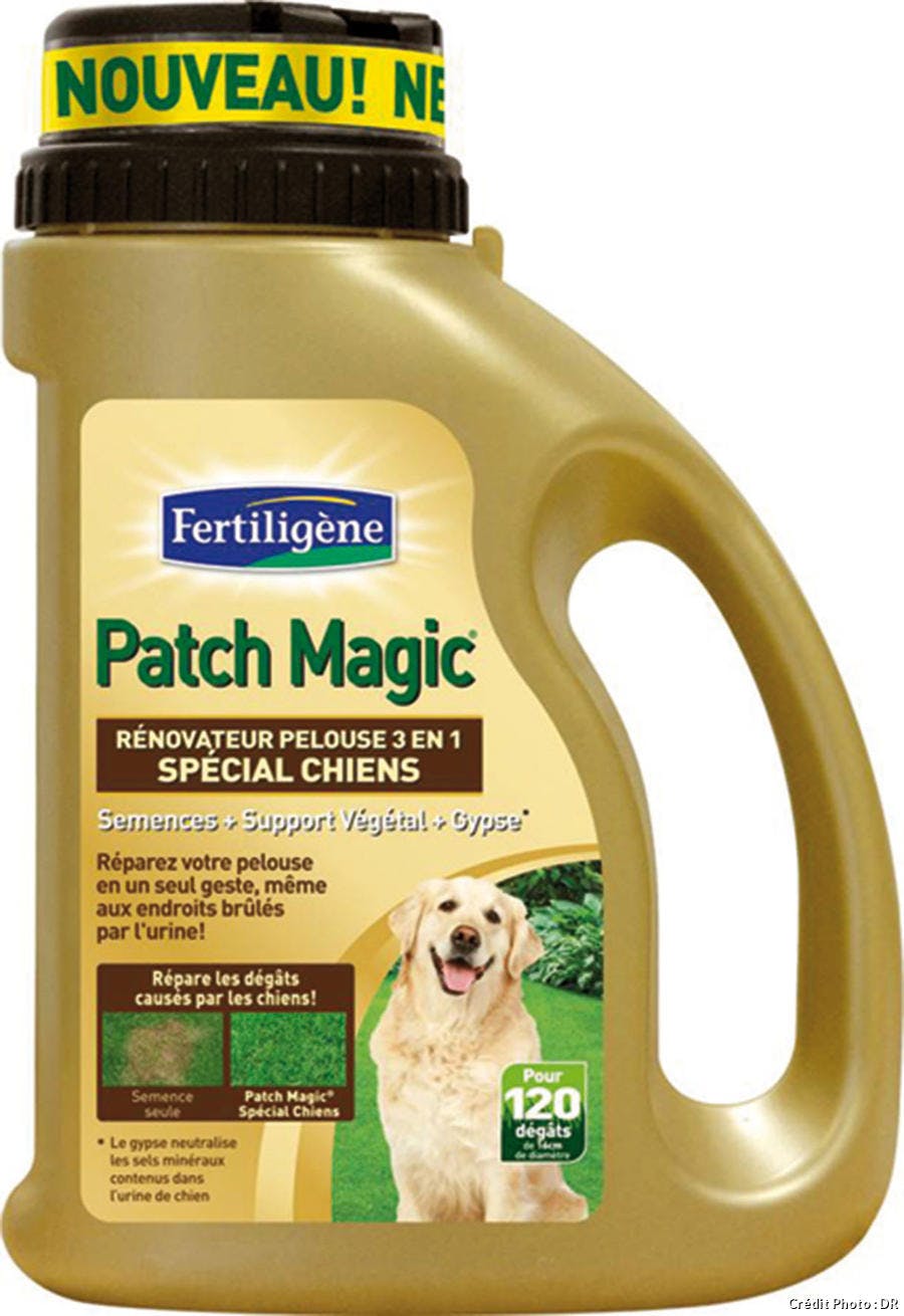 Patch magic spécial chien