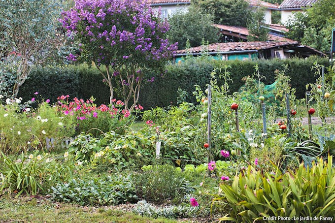 Les meilleures associations de légumes pour votre potager - Jardin Pro -  Centre jardin, entretien et aménagement paysager