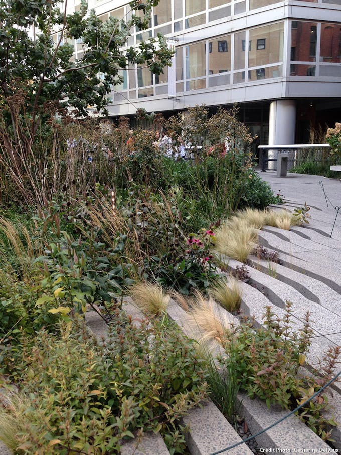 High Line, travail du sol