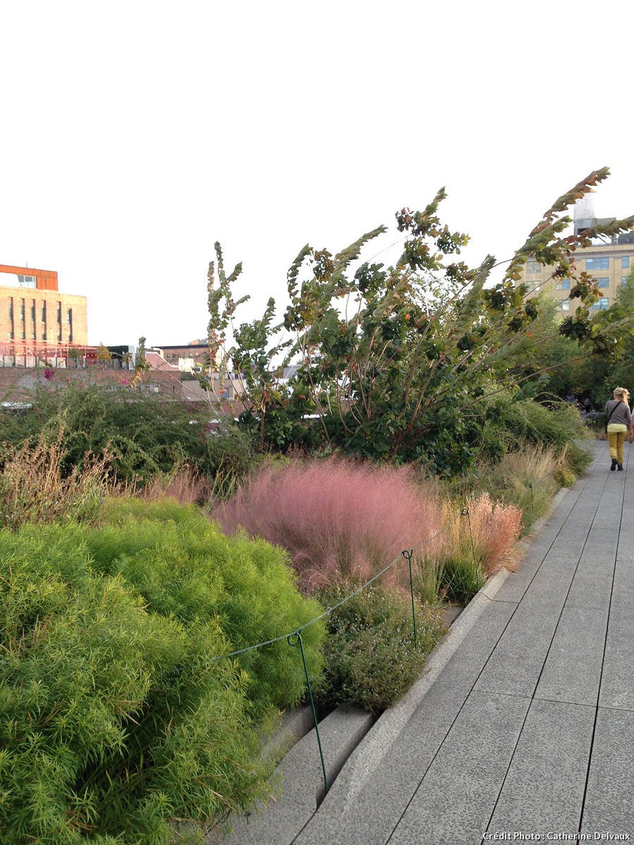 High Line, promenade et massif