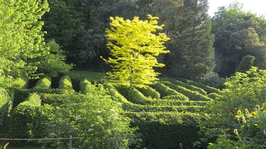 Un jardin en terrasses au cœur du Périgord