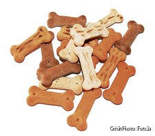 Biscuits pour chiens