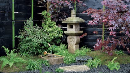 Japon : art, jardins zen, aménagements et végétaux japonais