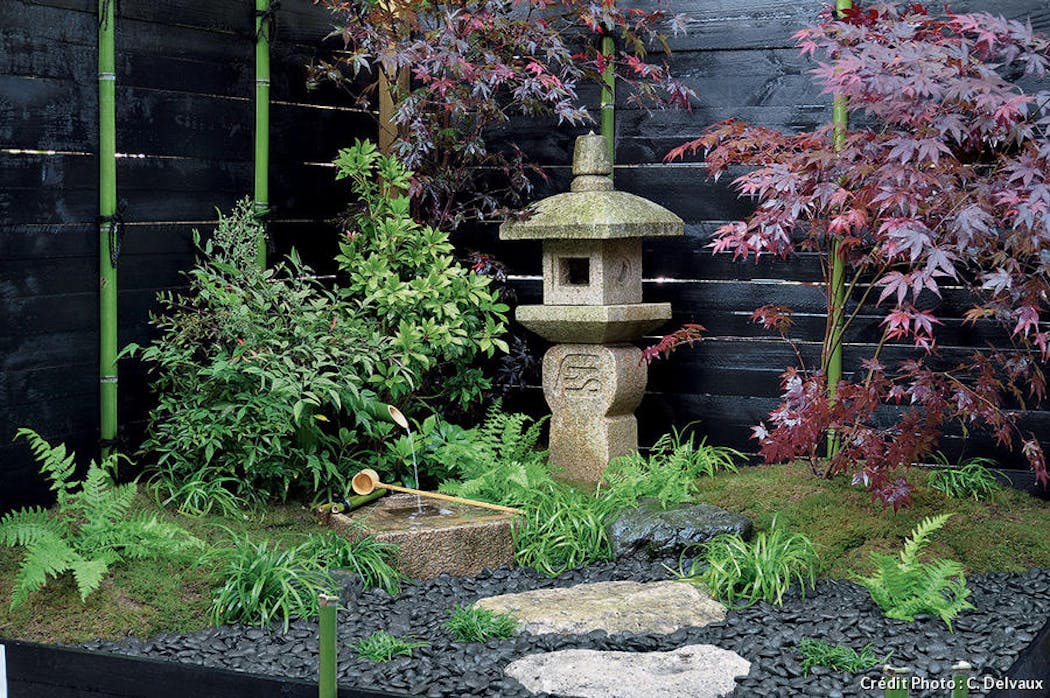 Jardin japonais miniature – un concentré du monde  Jardin japonais  miniature, Jardin japonais, Design de jardin zen