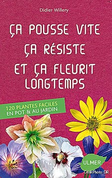 Couverture du livre "120 plantes faciles en pot et au jardin"