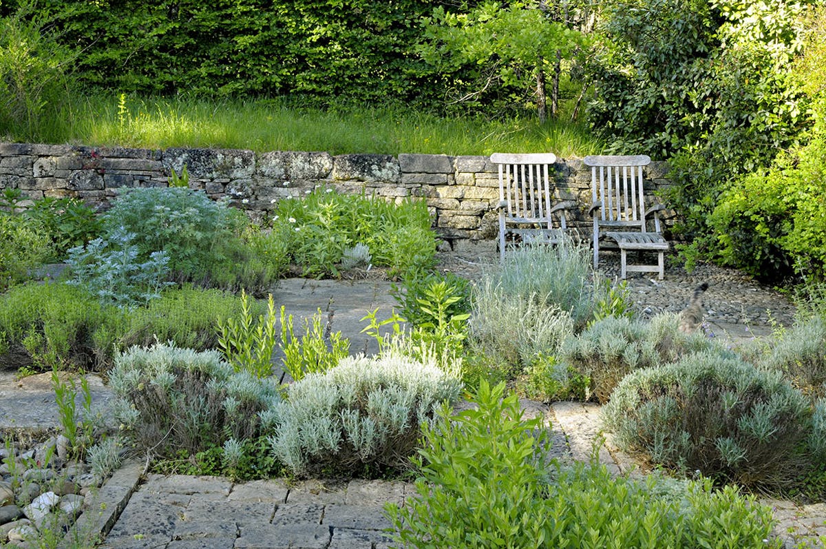 17 idées de Jardin aromatique  jardin aromatique, jardins, jardin