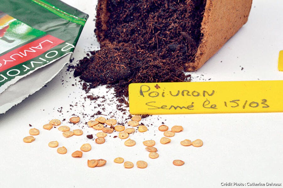 Jardiner avec la lune mars 2025 Calendrier lunaire | Détente jardin