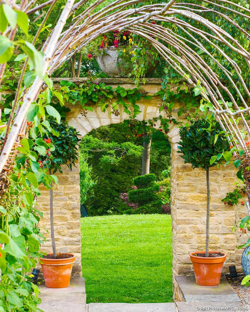 Arche de jardin, portique : supports pour plantes grimpantes