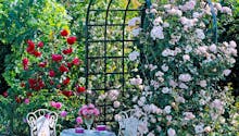 Arches et portiques : 7 idées pour embellir votre jardin