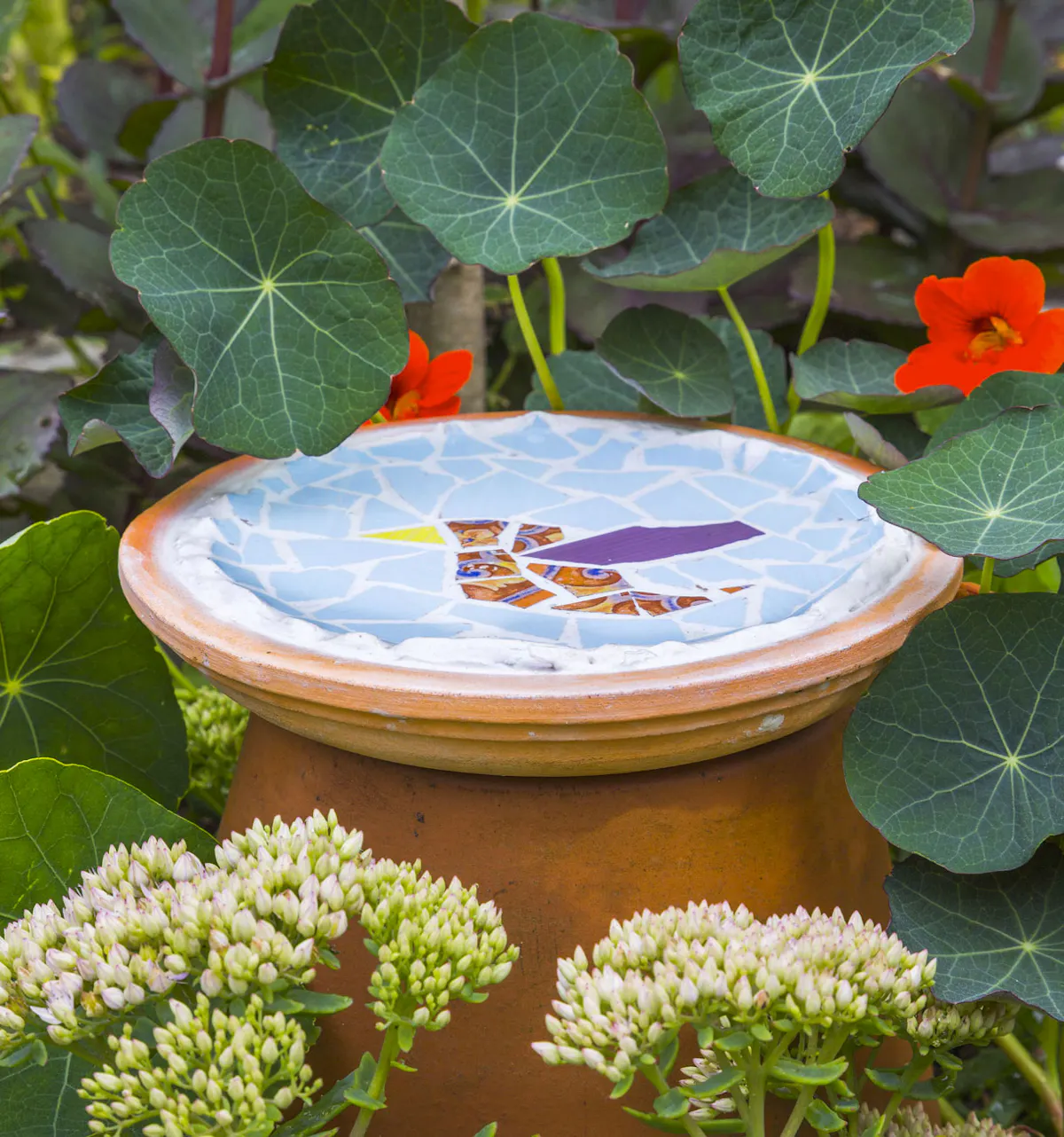 Comment créer un bain d'oiseaux avec de la céramique | Détente jardin