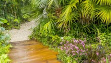 Un jardin tropical sur l'île d'Oléron