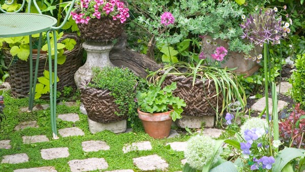 7 astuces pour faire de la mousse un élément décoratif du jardin
