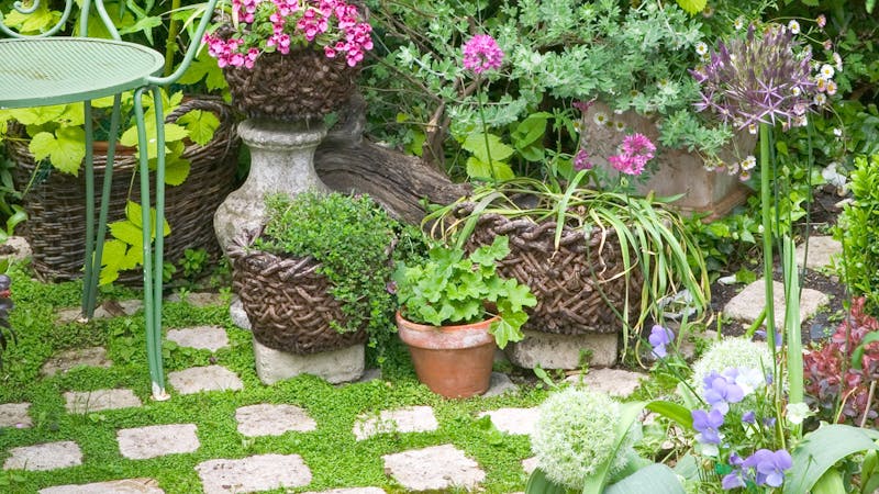 7 astuces pour faire de la mousse un élément décoratif du jardin