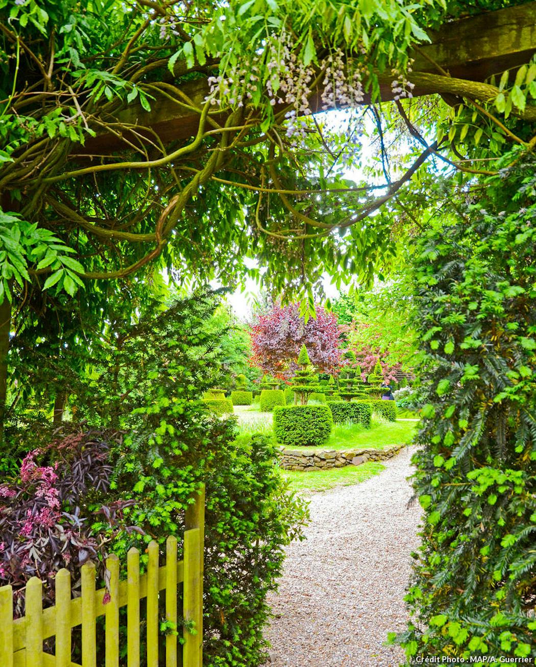 DIY 13 charmantes idées d'arches de jardin que vous pouvez facilement  bricoler - Pousse Pousse