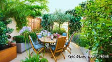 Un jardin sur terrasse