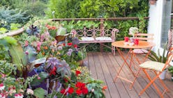 Aménager et végétaliser une petite terrasse fleurie