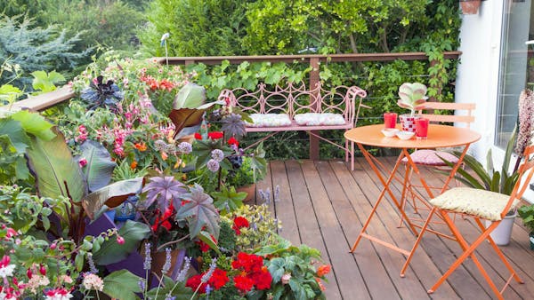 Aménager et végétaliser une petite terrasse fleurie