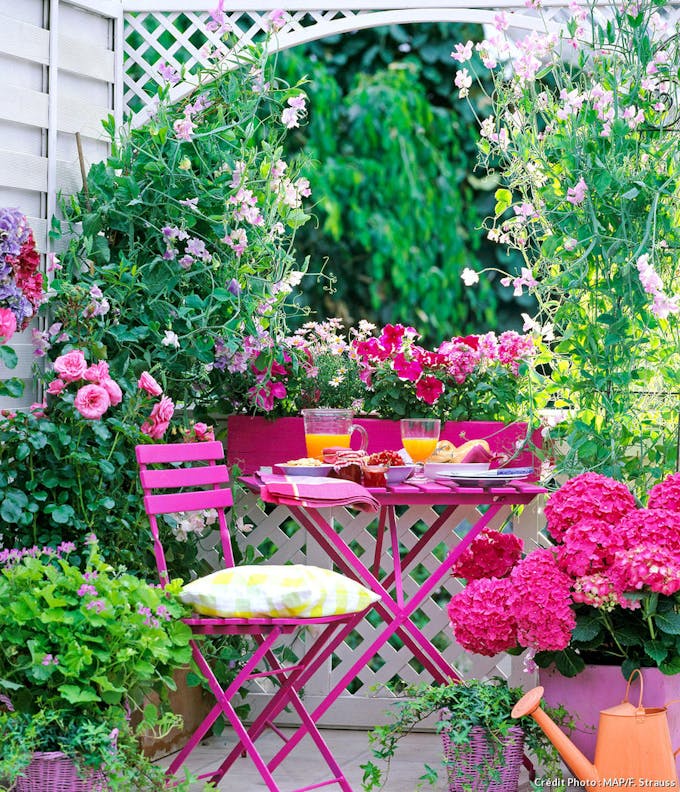 DIY 13 charmantes idées d'arches de jardin que vous pouvez facilement  bricoler - Pousse Pousse