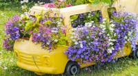 10 jardinières de plantes fleuries originales pour l'été