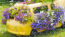 10 jardinières de plantes fleuries originales pour l'été