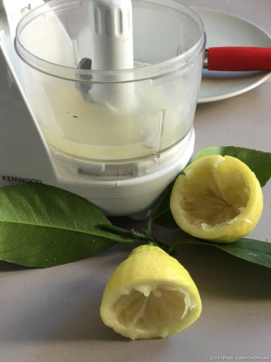 Blender avec jus de citron et aloe vera