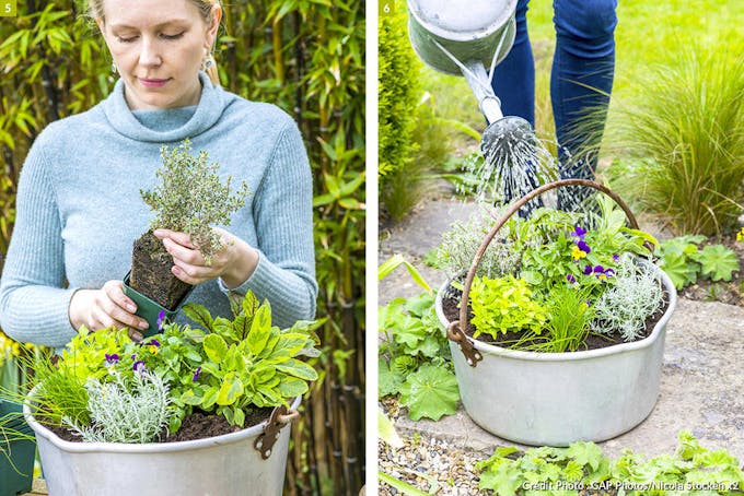 Arroser la bassine d'aromate et de plantes comestibles