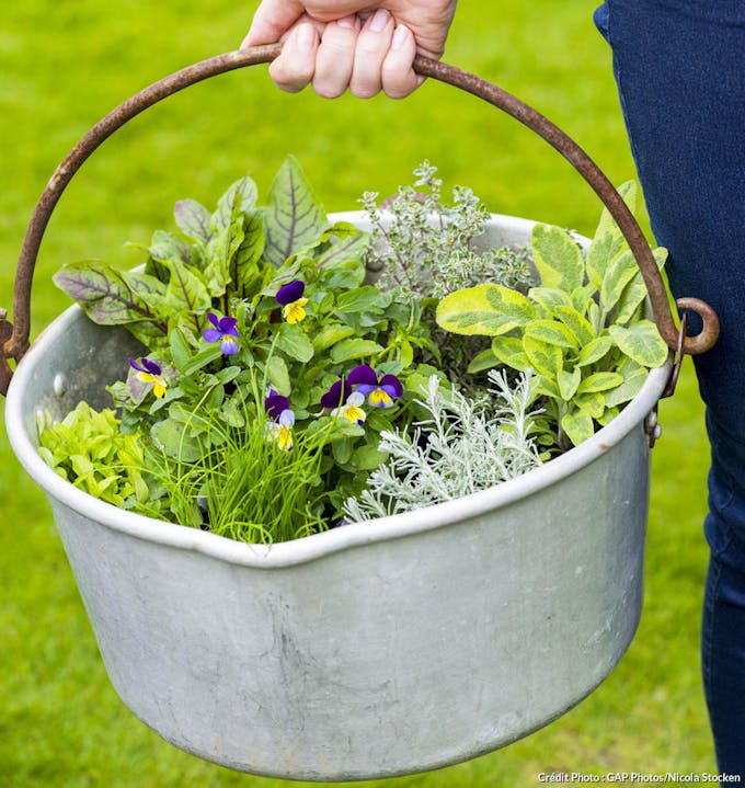 Tuto : réalisez une jardinière originale pour vos plantes