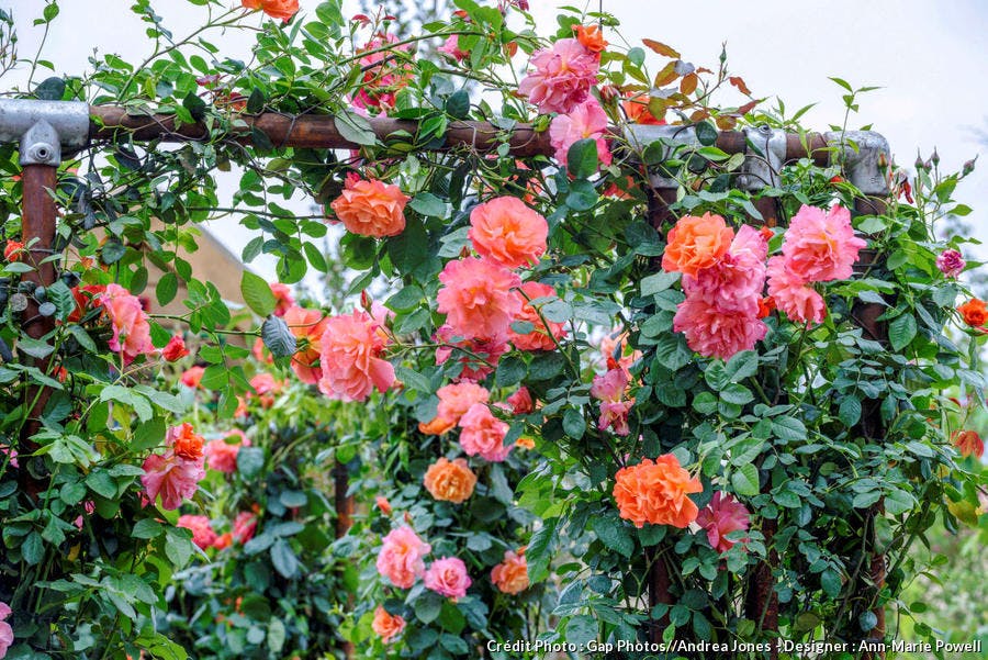 Comment transformer un container en abri de jardin ? Djacabanonterrasserosewesterland-65002025c269e