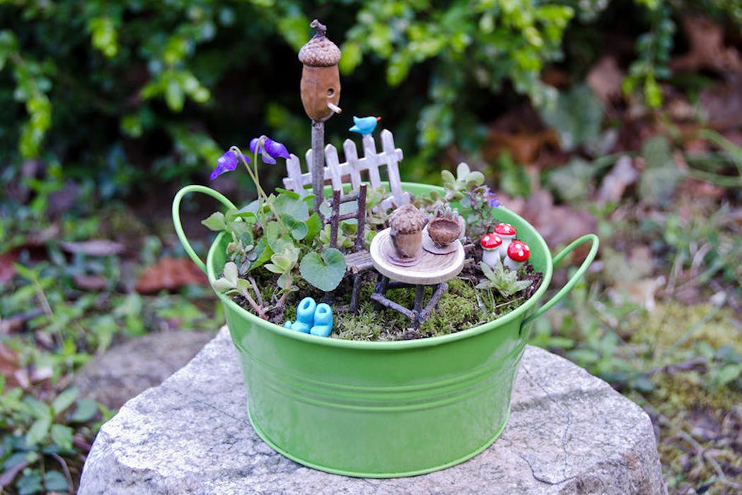 Un Jardin Miniature Avec Un Petit Pot De Plantes