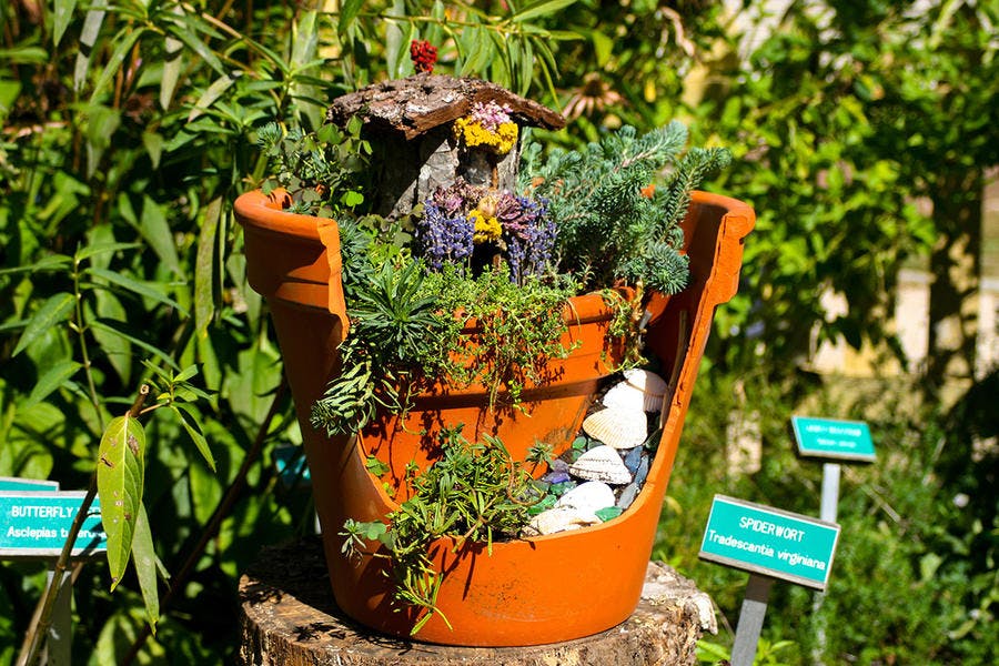 Mini-gardening, créer son petit jardin zen. - le loisir créatif