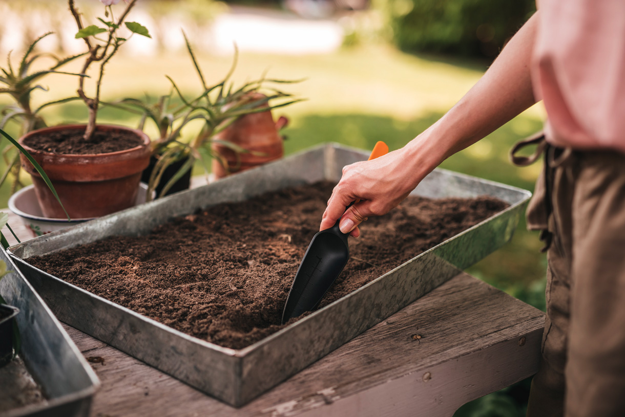 Semis : Nos Conseils Pour Semer Au Jardin [Guide] | Détente Jardin