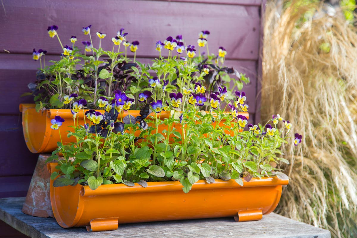 Pot de fleur pour gouttière fabrication française - Jardin et Saisons