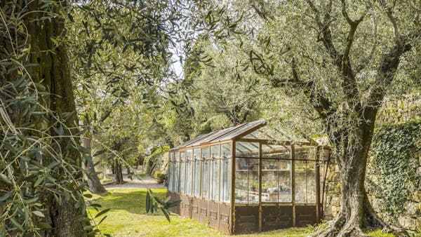 La Mouissone : un jardin dans les oliviers en 16 photos