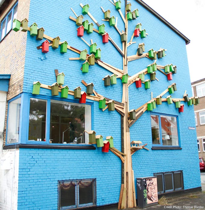 Nichoirs à oiseaux originaux sur façade de maison bleue