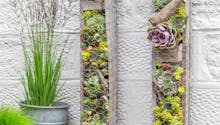 Faire un mur végétal extérieur avec du grillage et des succulentes