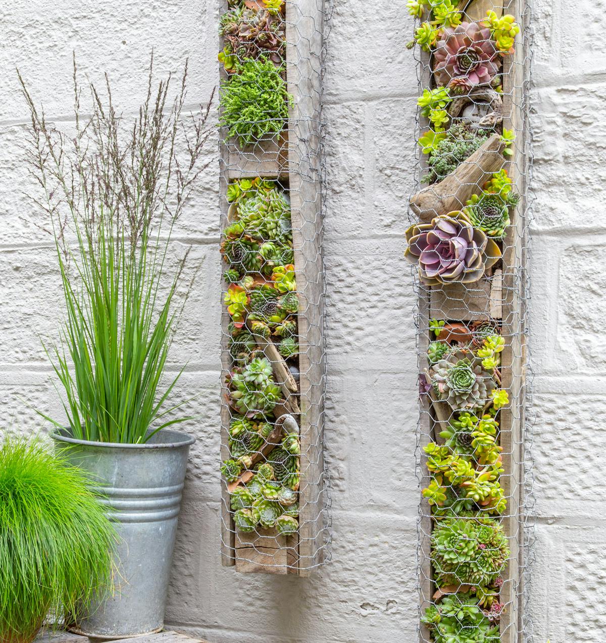 Comment créer un mur végétal en intérieur ?