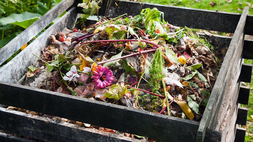 Tas de compost dans un jardin avec fleurs et épluchures