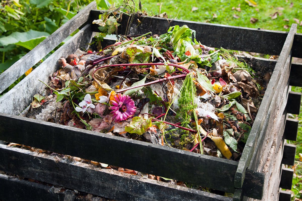 Compost et Compostage : Astuces, conseils pratiques - Bons-plans