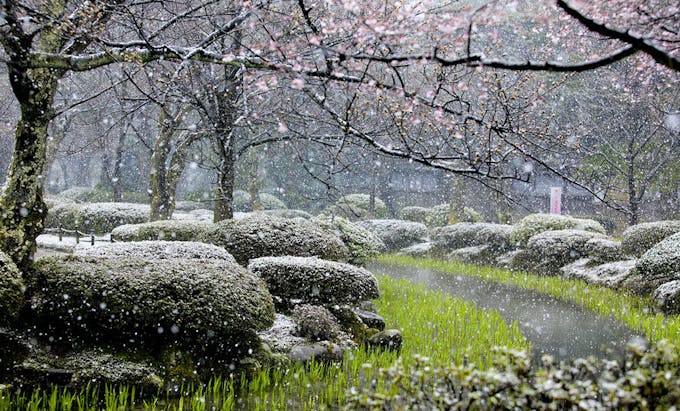 Kenroku-en jardin japonais