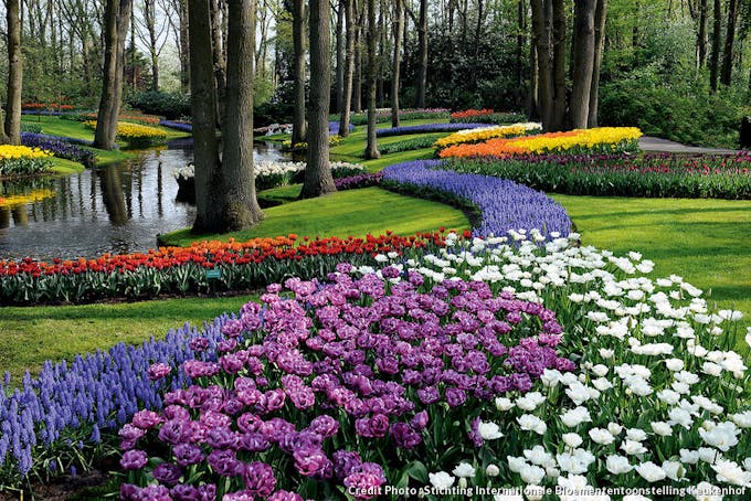 Parc de Keukenhof aux Pays-Bas