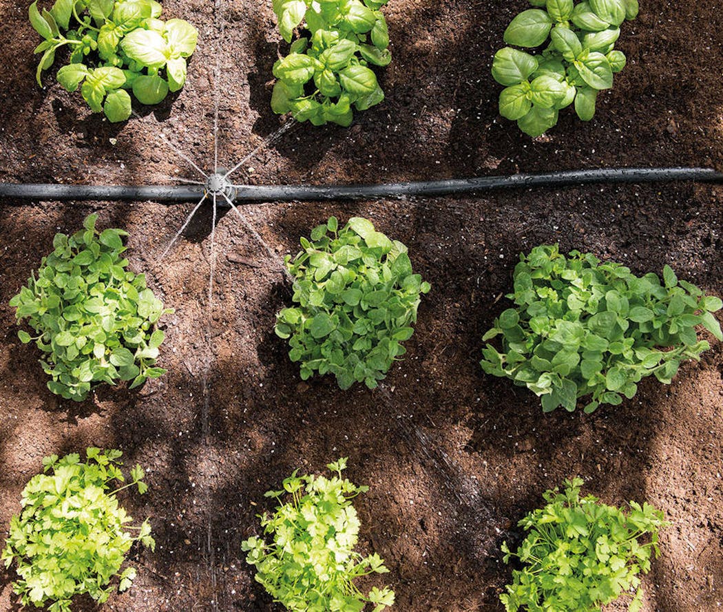 Bricolage-jardinage : l'innovation verte s'enracine