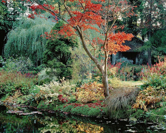 Jardin japonais de Courances