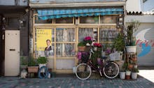 Hachiue : les mini jardins en pot japonais