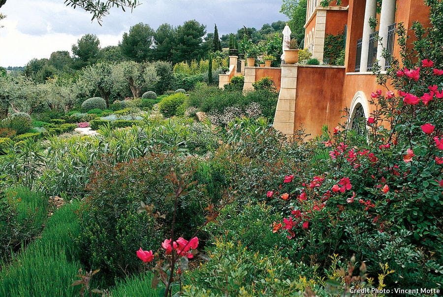 Jardin provençale en climat méditerranéen