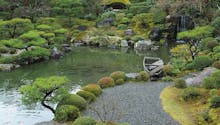 A la découverte des secrets des jardins japonais